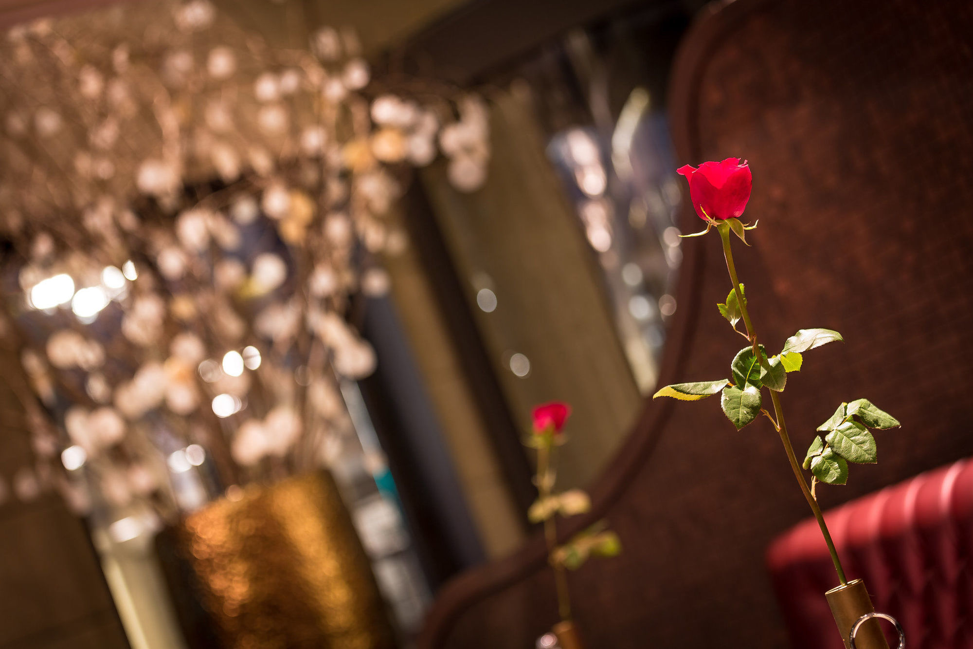 Hotell Bagues, A Small Luxury Of The World 5*